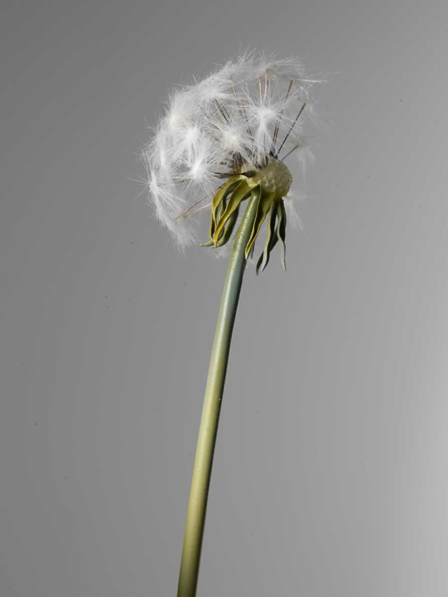 Give or Take (Detail)